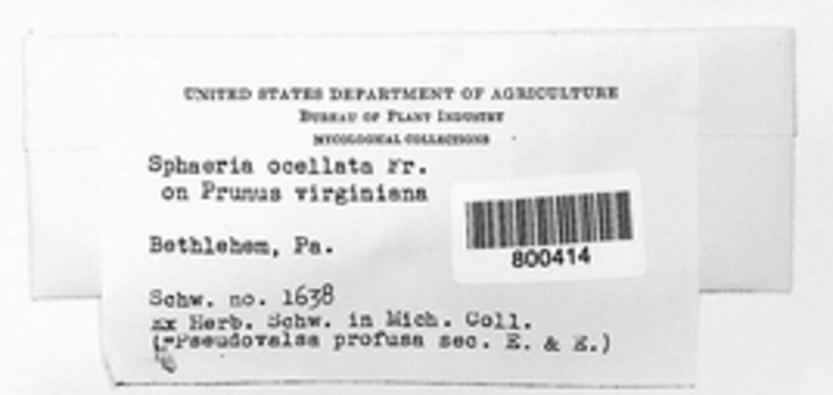 Cryptosphaeria ocellata image